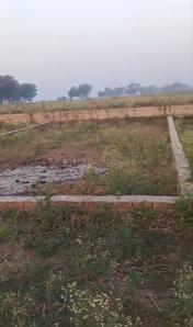 Dafi Plot View 1