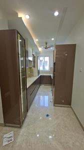 Hall Image of 1125 Sq.ft 3 BHK Apartment / Flat for rent in Vikaspuri New Delhi for Rs. 45000