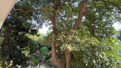 Image of 1800 Sq.ft 2 BHK Builder Floor for rent in DLF Phase 1, Gurgaon for Rs. 48000