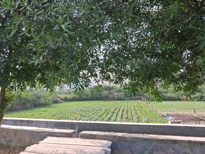 Image of 6250 Sq.ft Residential Plot / Land for sale in Sector 79, Noida for Rs. 121400000