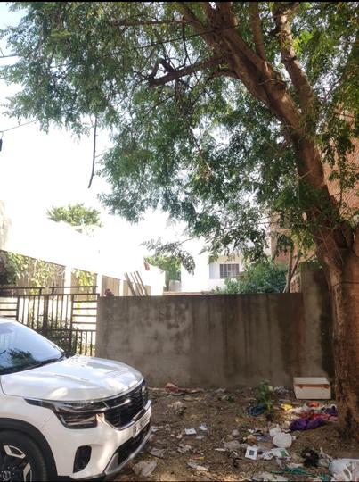 Jhalana Main Image 1