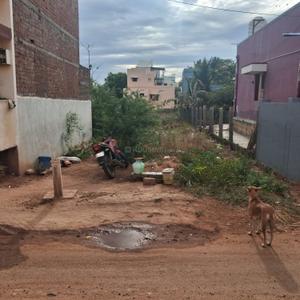 Image of 1702 Sq.ft Residential Plot / Land for sale in Thanakkankulam, Madurai for Rs. 3064500