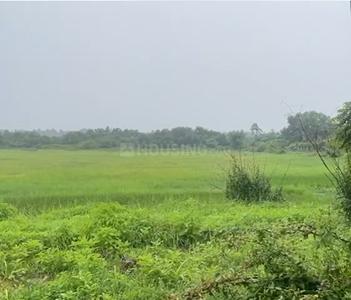 Residential Plot