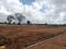 Thimmapur Plot View 1
