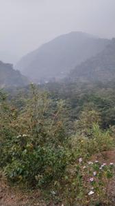 Image of 200 Sq.ft Residential Plot / Land for sale in Thano, Dehradun for Rs. 5000000