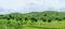 Aranyam Estate  Main Image 1