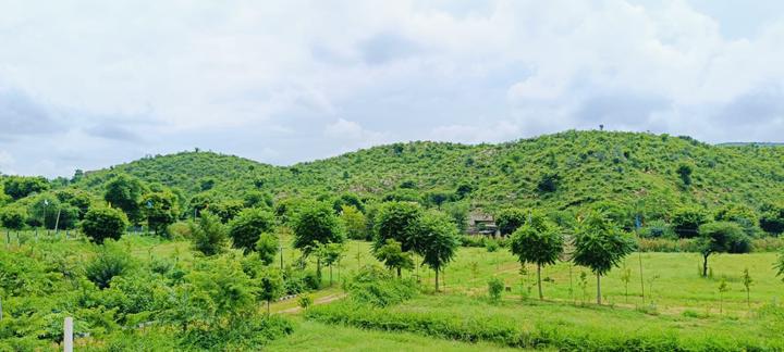 Aranyam Estate  Main Image 1