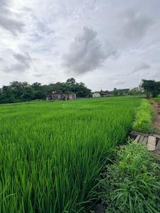Image of 1089 Sq.ft Residential Plot / Land for sale in Bori Bk, Navi Mumbai for Rs. 500000