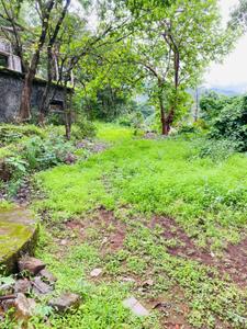 Kune Village Plot View 2