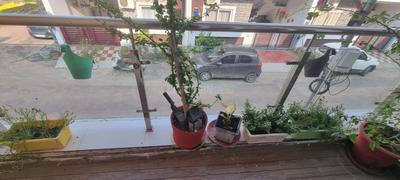 Balcony Image of 1647 Sq.ft 3.5 BHK Duplex for sale in Anand Yadav The Hive, Gomti Nagar Lucknow for Rs. 9900000