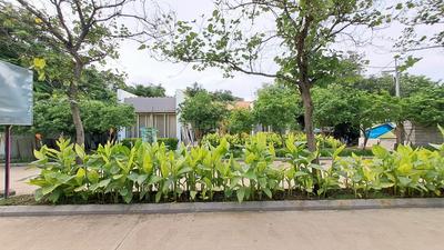 Image of 1920 Sq.ft 3 BHK Duplex for sale in Woods Estate, Kachana, Raipur for Rs. 11900000