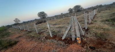 Residential Plot