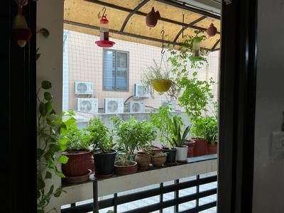 Balcony Image of 1700 Sq.ft 3 BHK Apartment / Flat for rent in New Alkapuri Vadodara for Rs. 23000