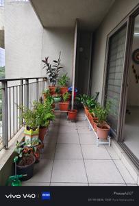 Balcony Image of 1140 Sq.ft 2 BHK Apartment / Flat for sale in Skyi Songbirds , Bhugaon Pune for Rs. 8600000