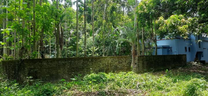 Keota, Bandel Main Image 1