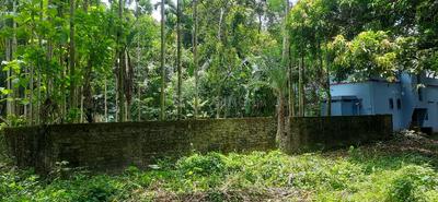 Residential Plot