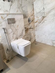 Common Bathroom Image of 2175 Sq.ft 4 BHK Builder Floor for sale in Sector 49 Gurgaon for Rs. 45000000