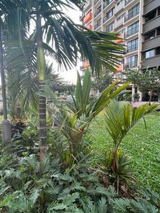 Image of 450 Sq.ft 1 BHK Apartment / Flat for sale in Joyville Virar, Virar West, Virar for Rs. 5400000