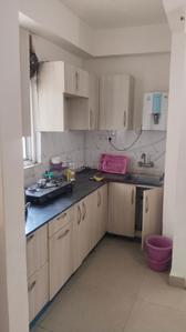 Kitchen Image of 930 Sq.ft 2 BHK Apartment / Flat for rent in Supertech Cape Town, Sector 74 Noida for Rs. 35000