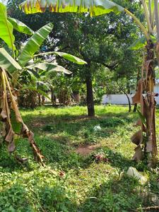Image of 3484 Sq.ft Residential Plot / Land for sale in Kangarappady, Kochi for Rs. 6400000
