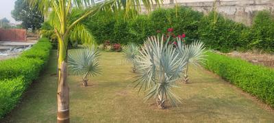 Karanpur Plot View 2