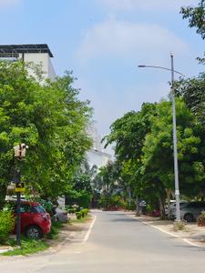 Image of 150 Sq.ft Residential Plot / Land for sale in DLF City Phase 1, DLF Phase 1, Gurgaon for Rs. 64900000