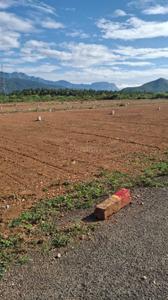 Metro SR garden Plot View 2