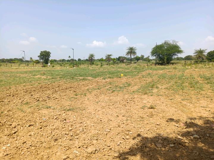 Alekhya NSR County Phase II Main Image 1