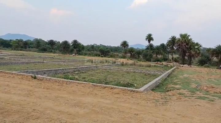 Shalbani Main Image 1