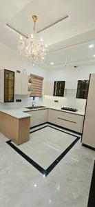 Hall Image of 1200 Sq.ft 2 BHK Builder Floor for sale in Sector 115 Mohali for Rs. 5790000