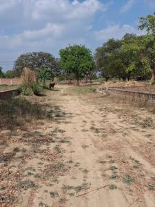 Image of 10000 Sq.ft Residential Plot / Land for sale in Jhalwa, Allahabad for Rs. 14500000