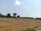 Ghatkesar Plot View 1