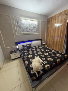 Bedroom Image of 2200 Sq.ft 3 BHK Apartment / Flat for rent in ATS Casa Espana, Bar Majra Mohali for Rs. 55000