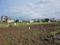 Siddhartha Nagar, Wagholi Plot View 2