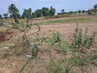Mathur Plot View 2