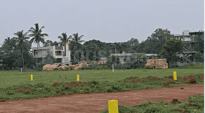 B Zone Plot View 2