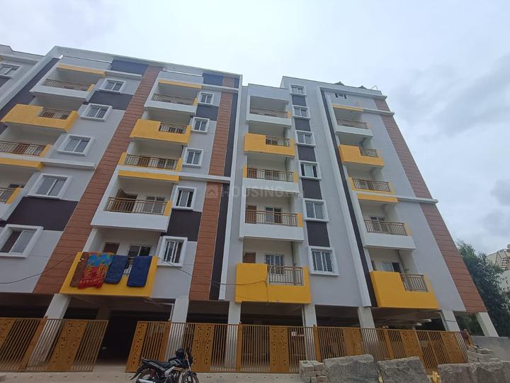 Lendi Sai Ferns Main Image 1