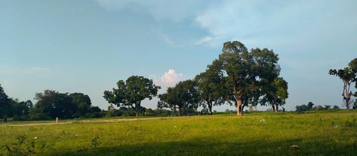 J block More Images 1