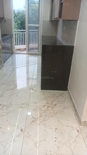 Livgyan Main Image 1