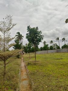 Image of 800 Sq.ft Residential Plot / Land for sale in Billamaranahalli, Bengaluru for Rs. 1439200