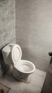 Bathroom Image of 585 Sq.ft 1 BHK Apartment / Flat for sale in Amrapali Dream Valley 2, Noida Extension Greater Noida for Rs. 4500000