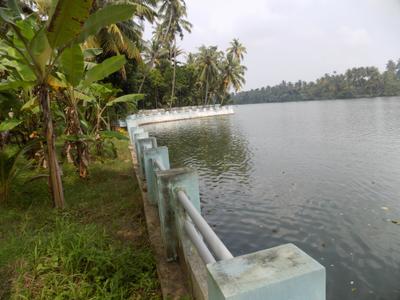 Image of 3200 Sq.ft 5 BHK Villa for sale in North Parvur, Kochi for Rs. 40000000