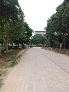 Image of 225 Sq.ft Residential Plot / Land for sale in Sector 52, Gurgaon for Rs. 82888800