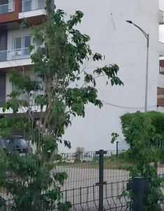 Residential Plot