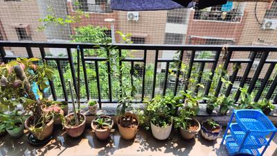 Balcony Image of 1740 Sq.ft 3 BHK Apartment / Flat for rent in Gowra Green Living, Manikonda Hyderabad for Rs. 50000