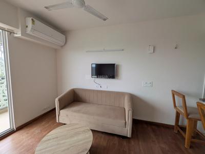 Hall Image of 710 Sq.ft 1 RK Apartment / Flat for rent in Godrej The Suites, Jaypee Greens Greater Noida for Rs. 30000
