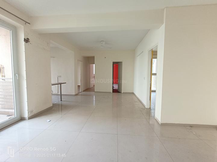 Tulip Violet Main Image 1