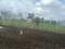 Wagholi Main Image 1
