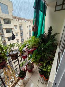 Balcony Image of 1840 Sq.ft 3.5 BHK Apartment / Flat for sale in Agarwal Aditya Royal Heights, Vrindavan Yojana Lucknow for Rs. 8500000