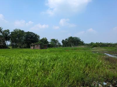 Image of 720 Sq.ft Residential Plot / Land for sale in Natures Paradise, Joka, Kolkata for Rs. 224998